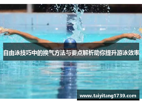 自由泳技巧中的换气方法与要点解析助你提升游泳效率